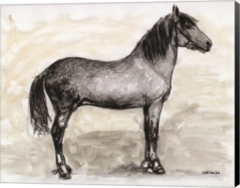 Framed Horse Study 1 Print