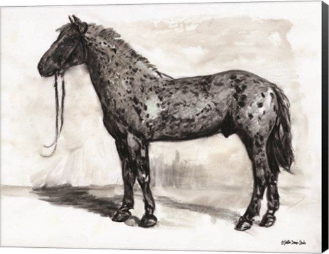 Framed Horse Study 2 Print