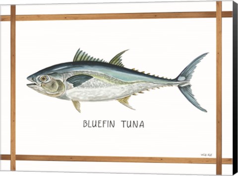 Framed Bluefin Tuna on White Print