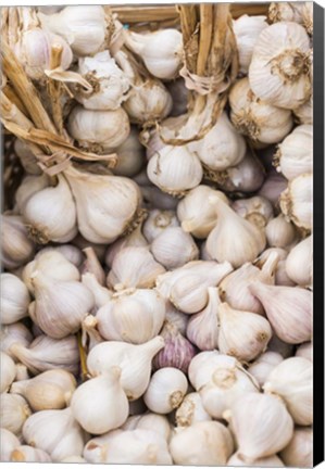 Framed Farmers Market - Garlic Print