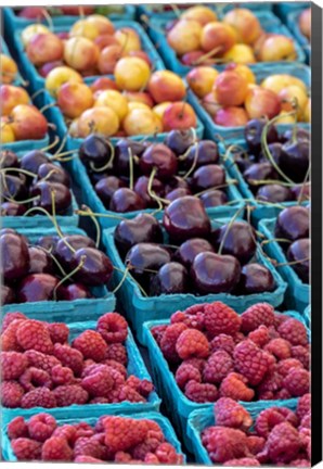 Framed Cherries and Berries Print