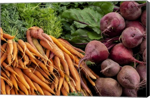 Framed Carrots and Beets Print