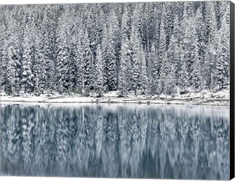 Framed Winter Reflections Print