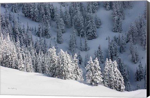 Framed North Cascades in Winter III Print