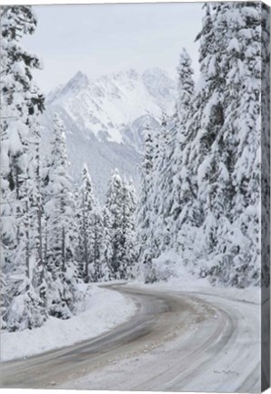 Framed Mount Baker Highway II Print