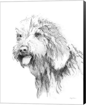 Framed Goldendoodle Sketch Print