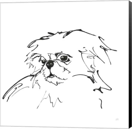 Framed Line Dog Pekingese Print