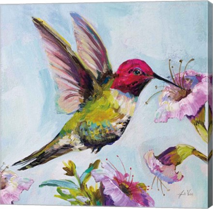 Framed Hummingbird I Florals Print