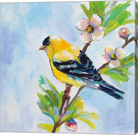 Framed Golden Finch Print