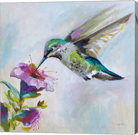 Framed Hummingbird II Print