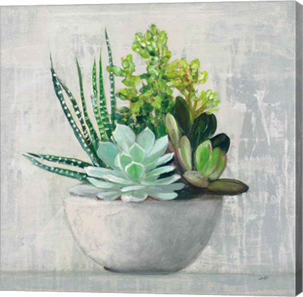 Framed Succulent Still Life II Print