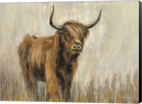 Framed Highland Mountain Cow Print