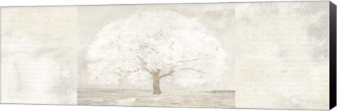 Framed Pale Tree Panel Print