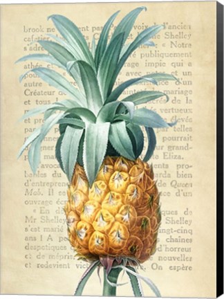 Framed Pineapple, After Redoute Print