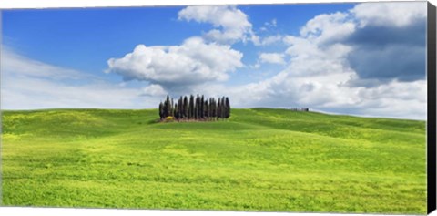 Framed Cypresses, Val d&#39;Orcia, Tuscany (detail) Print