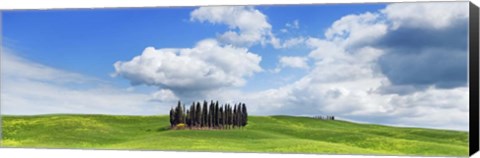 Framed Cypresses, Val d&#39;Orcia, Tuscany Print