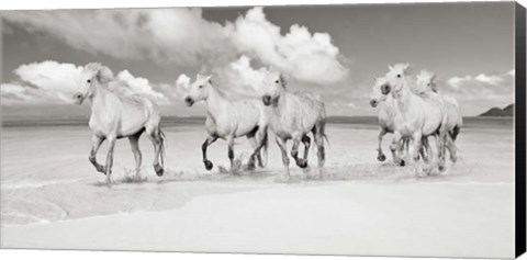 Framed Band of Brothers, Lanikai Beach, Hawaii (BW) Print