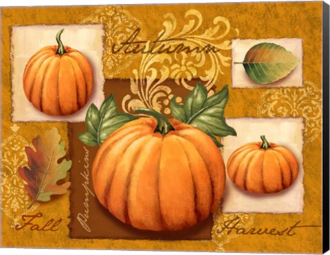Framed Harvest Pumpkins Print