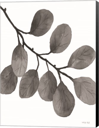 Framed Leaves in Gray I Print