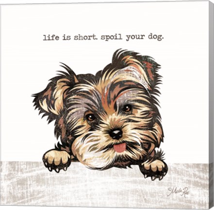 Framed Spoil Your Dog Print