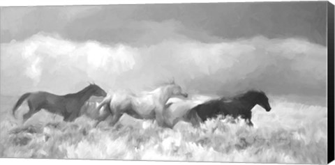 Framed Mustang Herd II BW Print