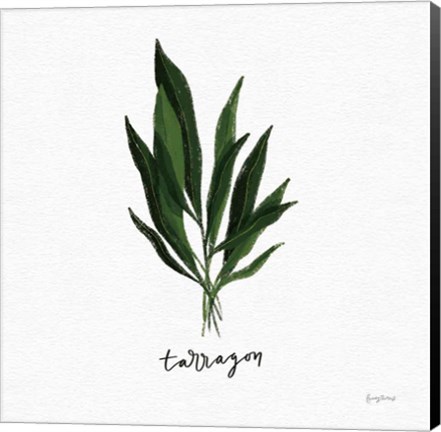 Framed Herbs V White Print