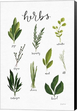 Framed Herbs I White Print