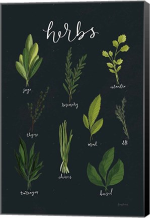 Framed Herbs I Black Print