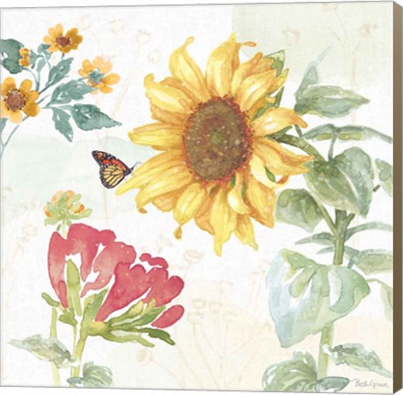 Framed Sunflower Splendor VIII Print