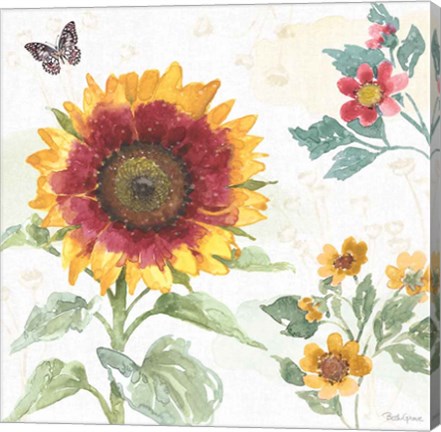 Framed Sunflower Splendor VII Print
