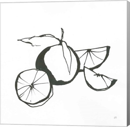 Framed Oranges BW Print