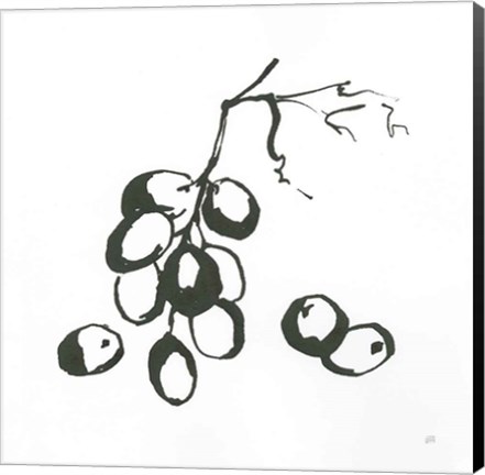 Framed Grapes I BW Print