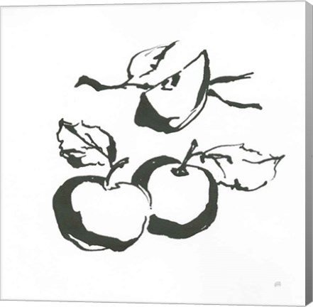 Framed Apples BW Print