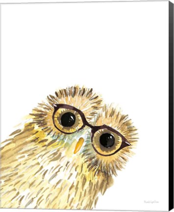 Framed Owl in Glasses Print