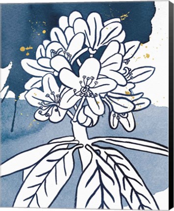 Framed Indigo Blooms II Print