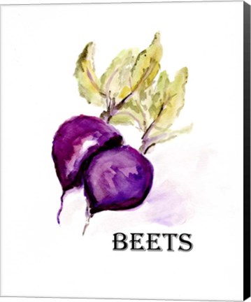 Framed Veggie Sketch III-Beets Print