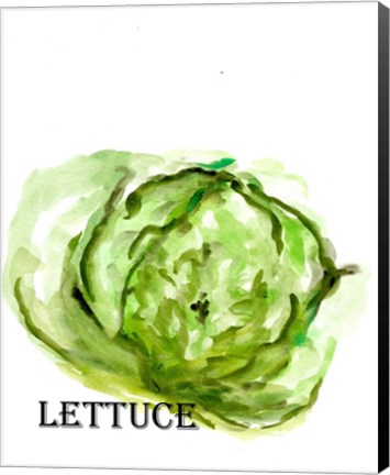 Framed Veggie Sketch IX-Lettuce Print