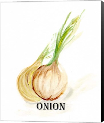 Framed Veggie Sketch X-Onion Print