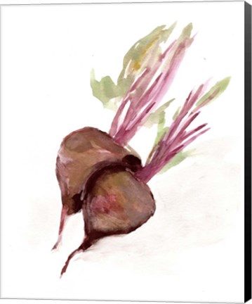 Framed Veggie Sketch plain IV-Brown Beets Print