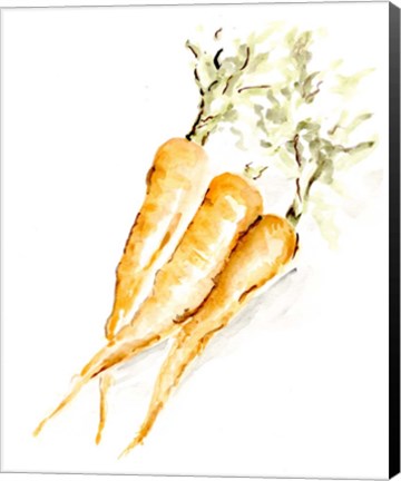 Framed Veggie Sketch plain V-Carrots Print