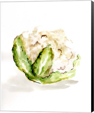 Framed Veggie Sketch plain VI-Cauliflower Print