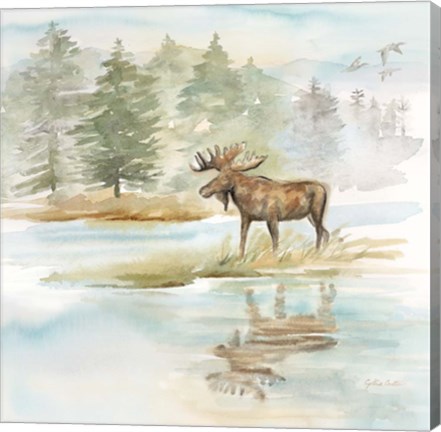 Framed Woodland Reflections II-Moose Print