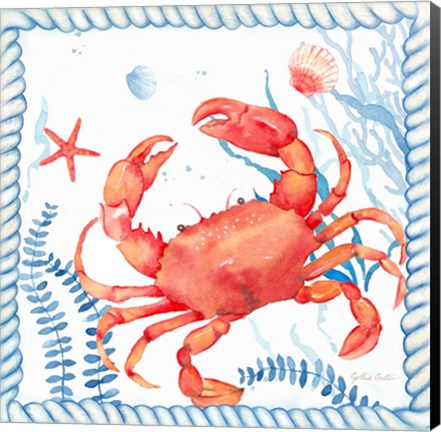 Framed Nautical Sea Life I-Crab Print