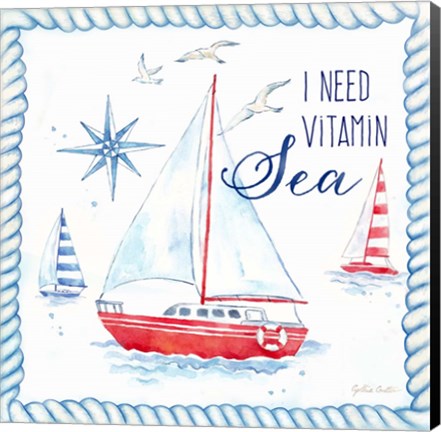 Framed Nautical Sea Life IV-Sailboat Print