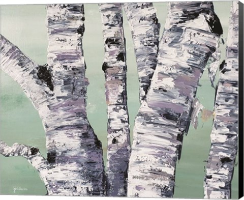 Framed Birch Tree Close Up II Print