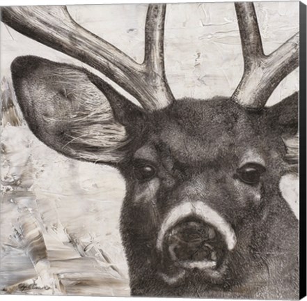 Framed Deer Portrait Print