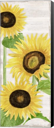 Framed Fall Sunflowers panel I Print