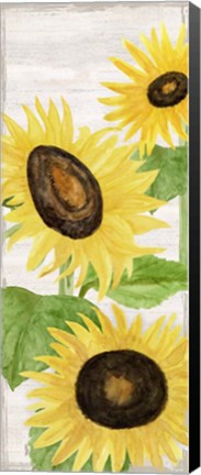 Framed Fall Sunflowers panel II Print