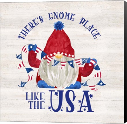 Framed Patriotic Gnomes III-USA Print