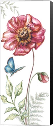 Framed Wildflower Stem panel I Print